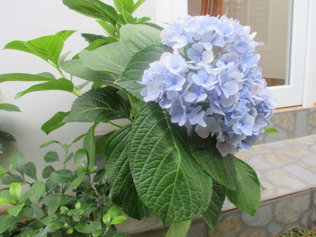Manh Duyen Garden Homestay Фу Куок Екстериор снимка