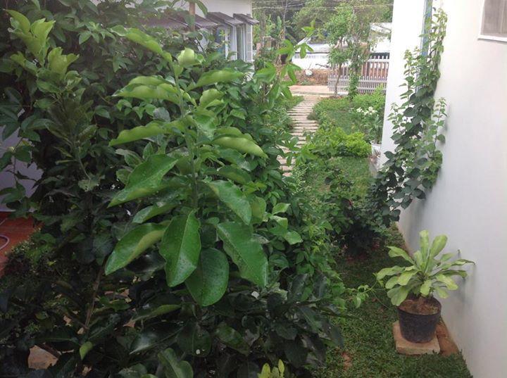 Manh Duyen Garden Homestay Фу Куок Екстериор снимка