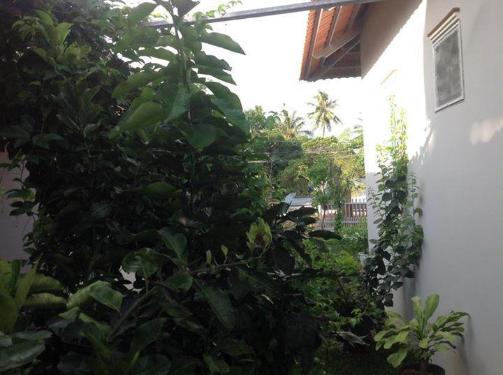 Manh Duyen Garden Homestay Фу Куок Екстериор снимка