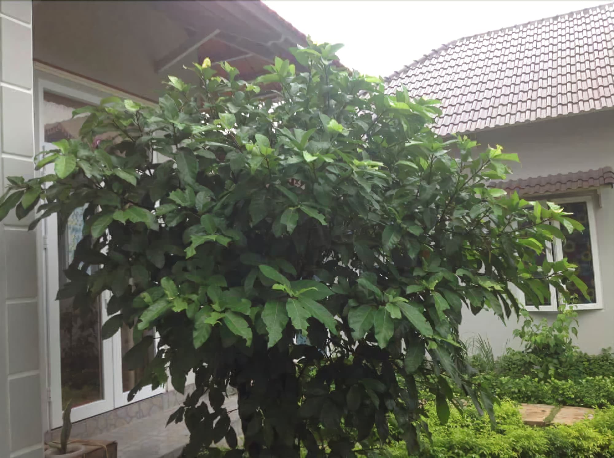 Manh Duyen Garden Homestay Фу Куок Екстериор снимка